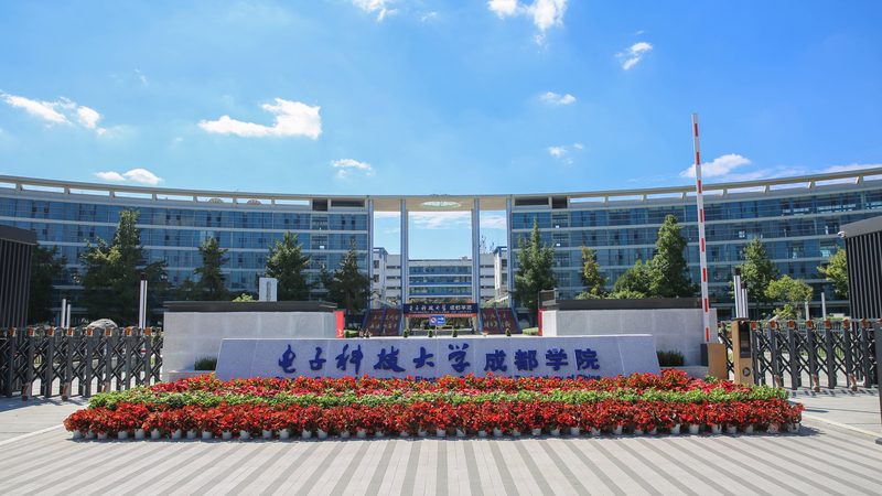 深圳芯片生产厂家报价单：揭秘报价背后的考量因素**