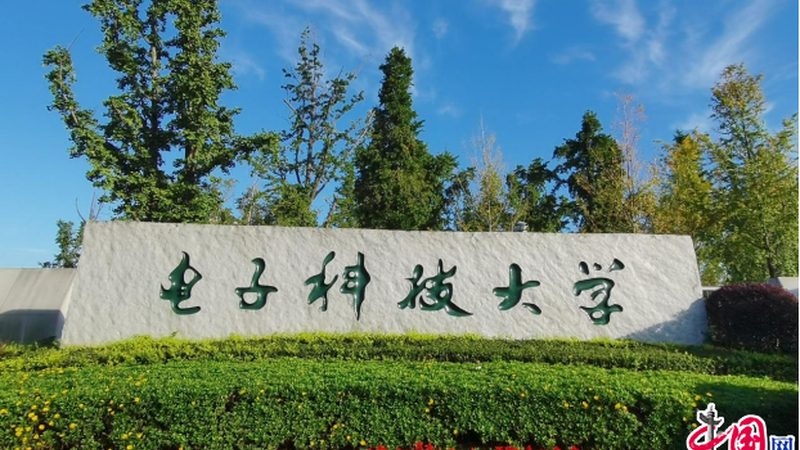 电子科技公司加盟，盈利之路如何规划？**